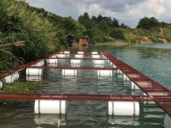 養(yǎng)黃鱔泥鰍的池塘怎么建，網(wǎng)箱該怎么擺放