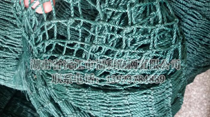 網箱養(yǎng)魚平臺設計建設